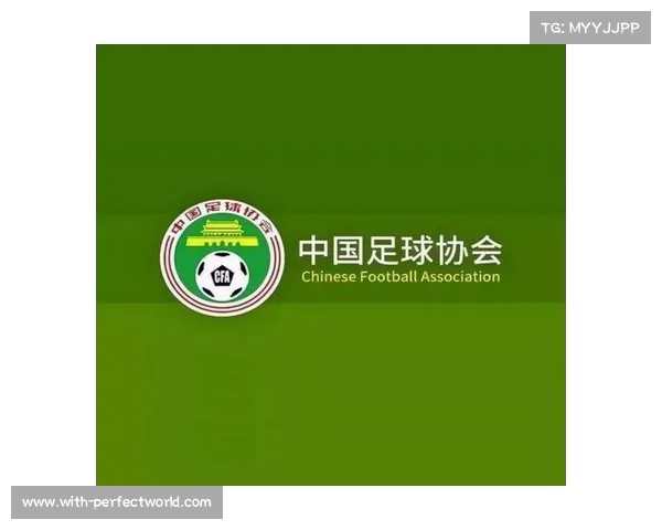 足球俱乐部引援预算分析与合理规划对球队竞争力的提升作用 足球俱乐部引援预算分析与合理规划对球队竞争力的提升作用